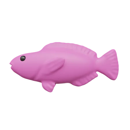 Fish  3D Icon