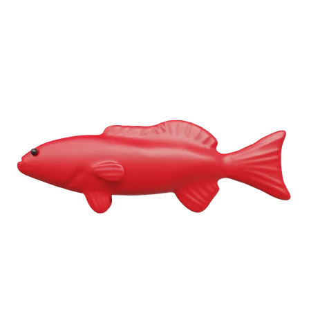 Fish  3D Icon