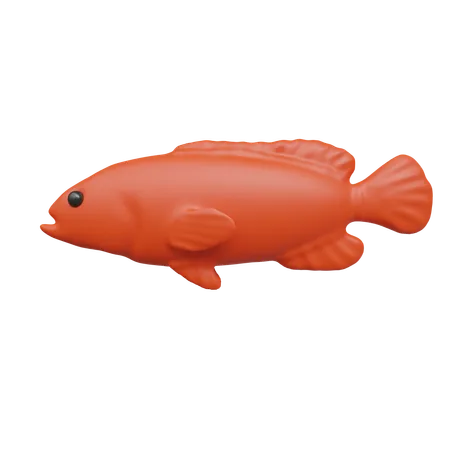 Fish  3D Icon