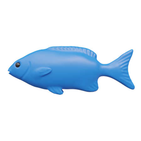 Fish  3D Icon