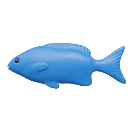 Fish  3D Icon