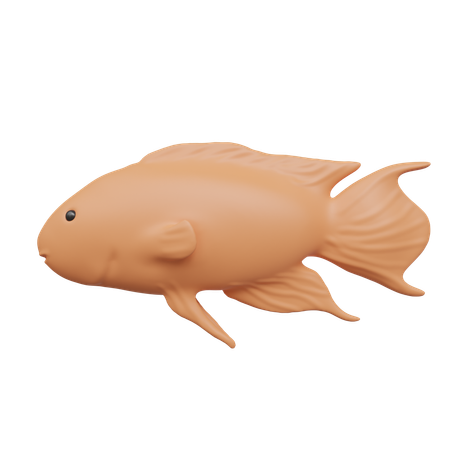 Fish  3D Icon