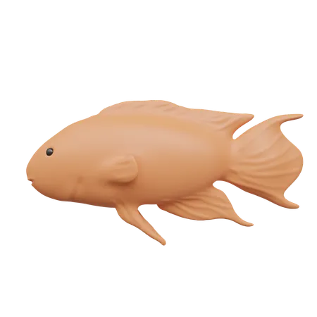 Fish  3D Icon