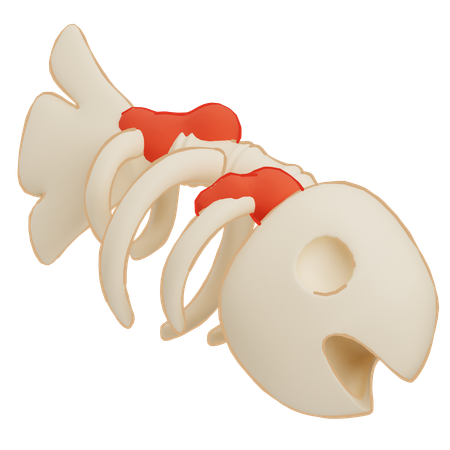 Fish Bone  3D Icon