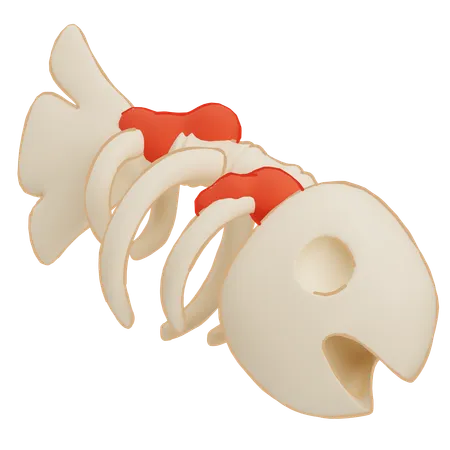 Fish Bone  3D Icon