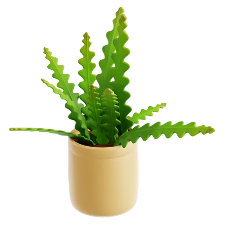 Fishbone Cactus  3D Icon