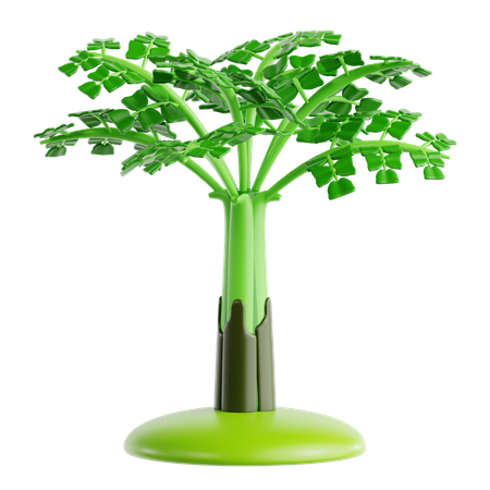 Fishtail Palm  3D Icon