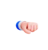 Fist