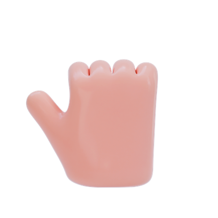 Fist Hand Gesture  3D Icon