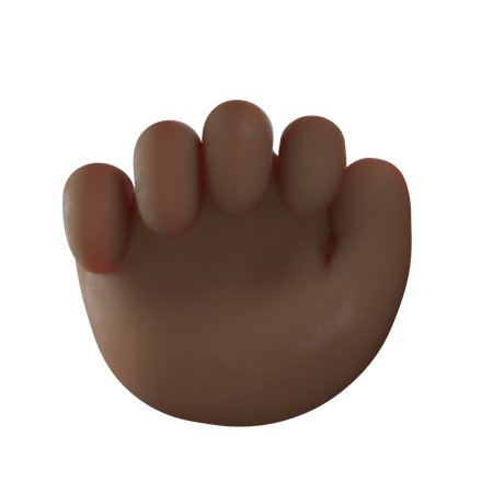 Fist Hand Gesture  3D Icon