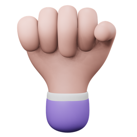 Fist Hand Gesture  3D Icon