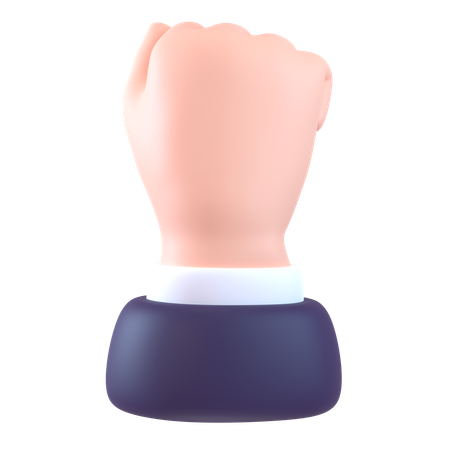 Fist Hand Gesture  3D Icon