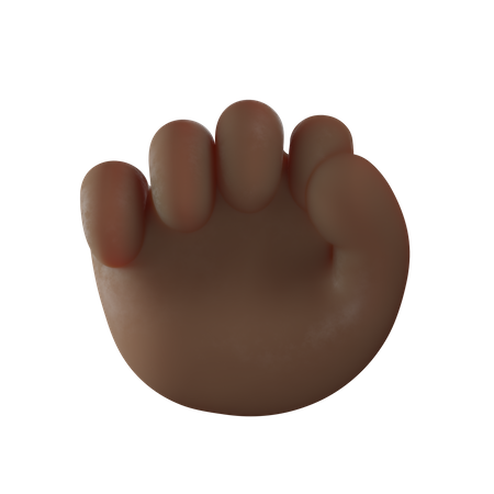 Fist Hand Gesture  3D Illustration