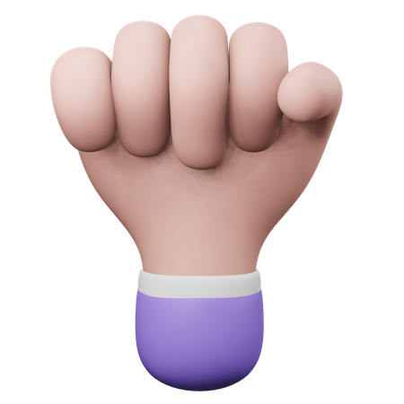 Fist Hand Gesture  3D Illustration