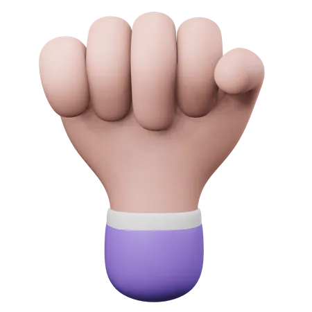 Fist Hand Gesture  3D Illustration