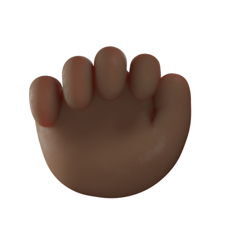 Fist Hand Gesture  3D Illustration