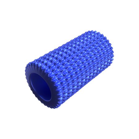 Fitness roller foam  3D Illustration