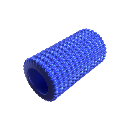 Fitness roller foam 3D Illustration