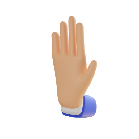 Five Finger Gesture  3D Illustration