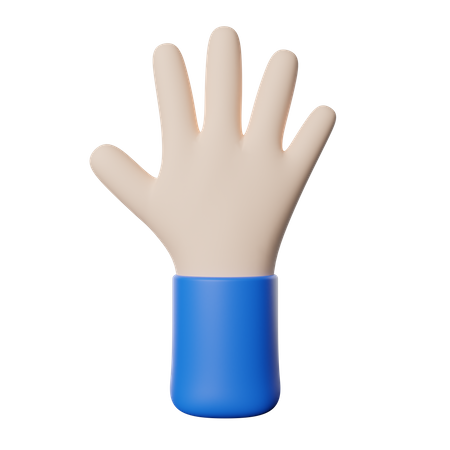 Five Finger Gesture  3D Illustration