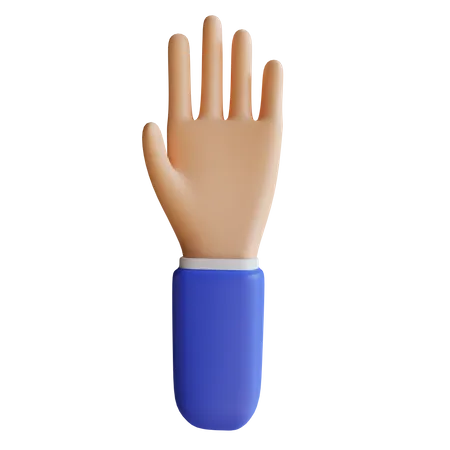 Five Finger Gesture  3D Illustration