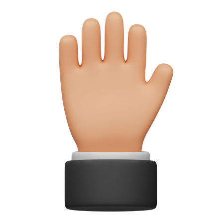Five Finger Hand  3D Icon