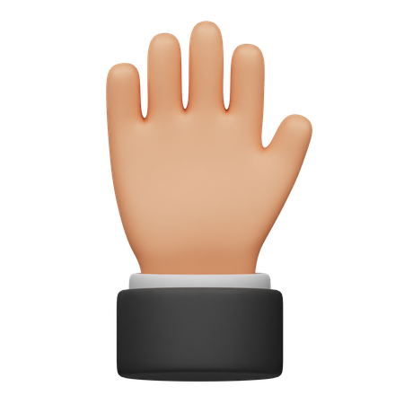 Five Finger Hand  3D Icon