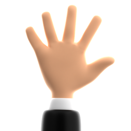 Five Finger Hand Gesture  3D Icon