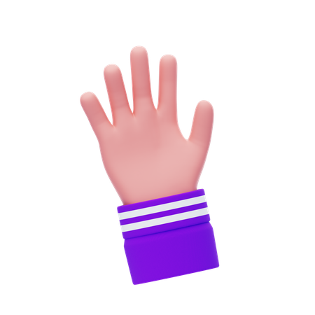 Five Finger Hand Gesture  3D Icon