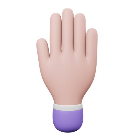 Five Finger Hand Gesture  3D Icon