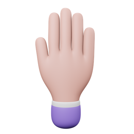 Five Finger Hand Gesture  3D Illustration