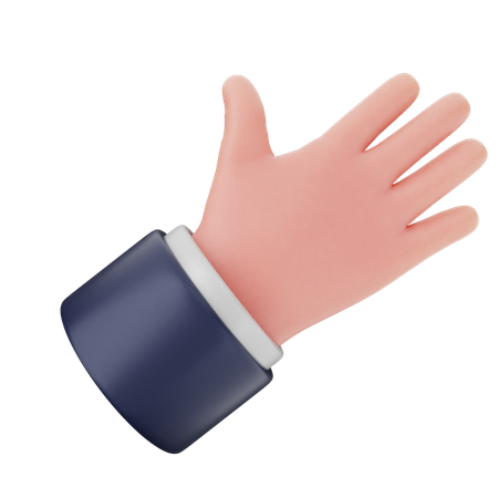 Five Finger Hand Gestures  3D Icon