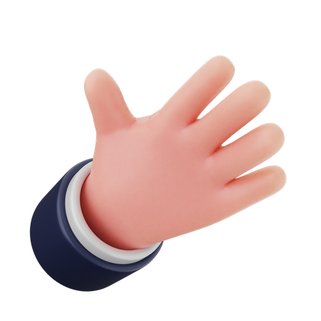 Five Finger Hand Gestures  3D Icon