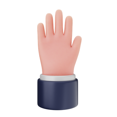 Five Finger Hand Gestures  3D Icon