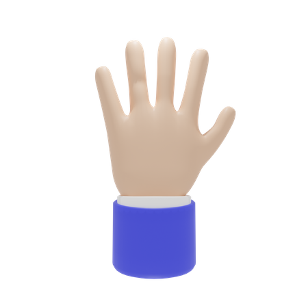 Five Fingers Hand Gesture  3D Icon