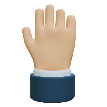 Five Number Counting Finger Hands  3D Icon
