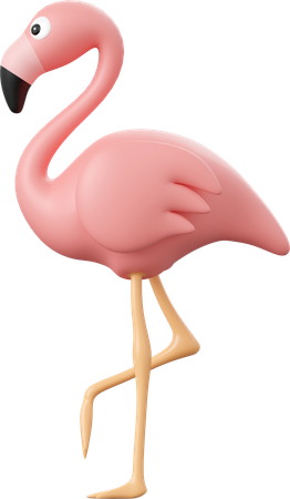 Flamingo  3D Icon