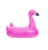 Flamingo Float