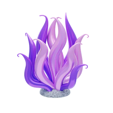 Flammenkoralle  3D Icon