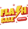 Flash Sale Shop Now