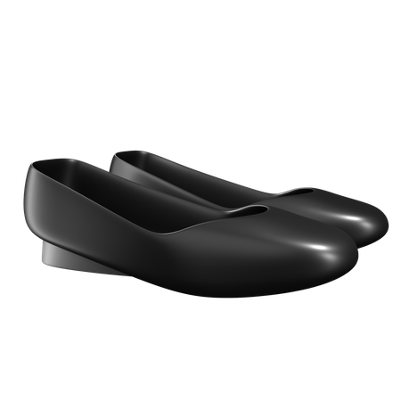 Flat Shoes  3D Icon