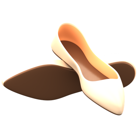 Flat Shoes  3D Icon