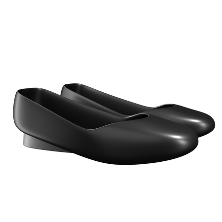 Flat Shoes  3D Icon