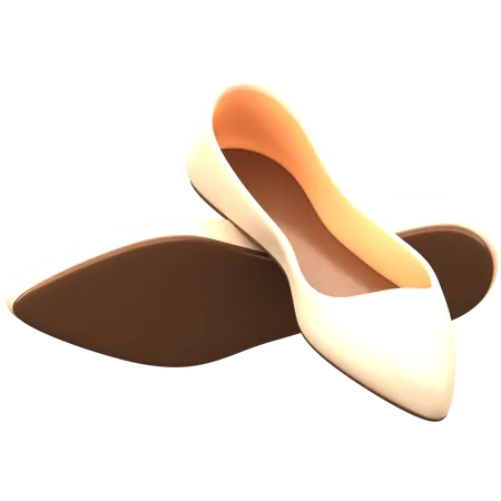 Flat Shoes  3D Icon