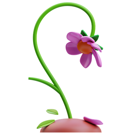 Flétri  3D Icon