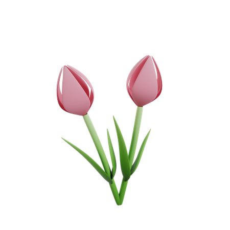 Fleur  3D Icon