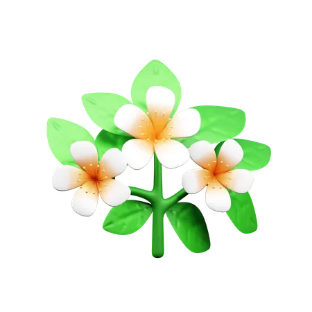 Fleur  3D Icon