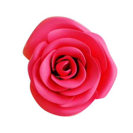 Fleur  3D Icon