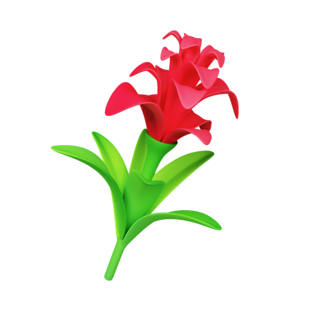 Fleur de broméliacée  3D Icon