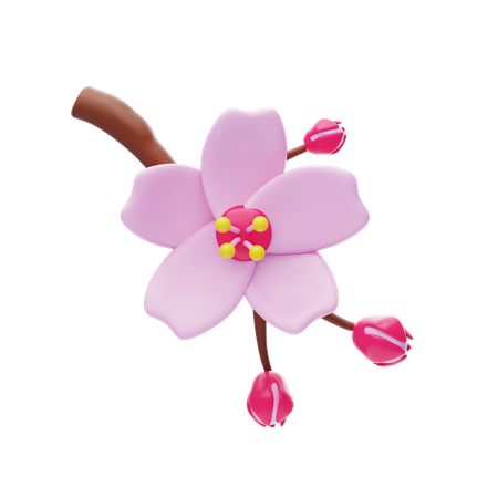 Fleur de cerisier  3D Icon